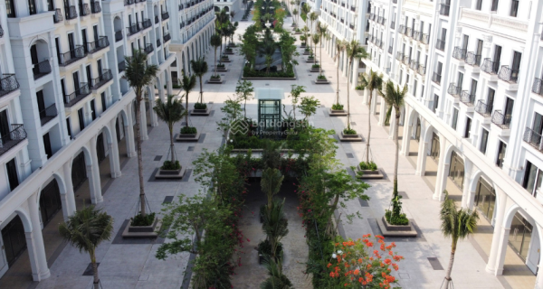 20260131152910-05c8_wm