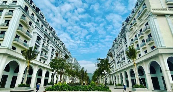 20260131152917-df8e_wm